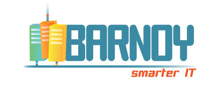 Barnoy - Smarter IT logo